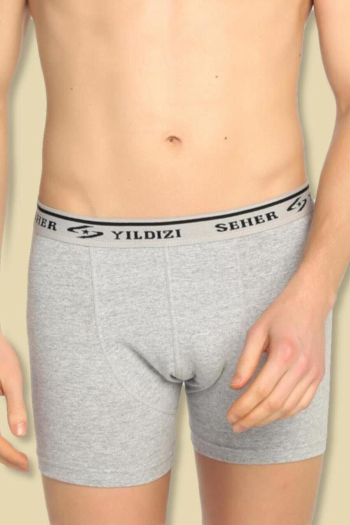 Seher Yıldızı Elastan Erkek 8'li Paket Likralı Gri Boxer 0060
